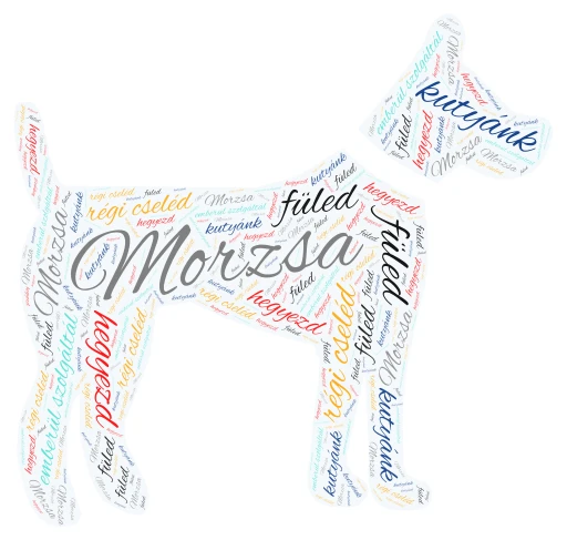 Tyúk word cloud art