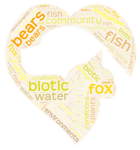 Word Art project word cloud art