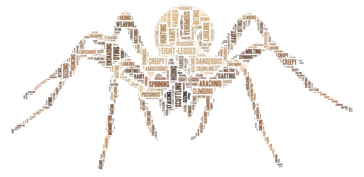 Spiders word cloud art