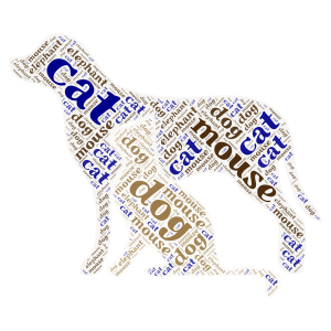 Animals word cloud art