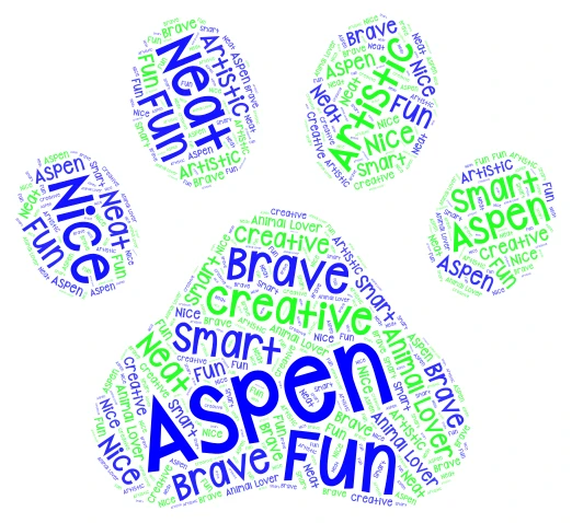 Aspen word cloud art
