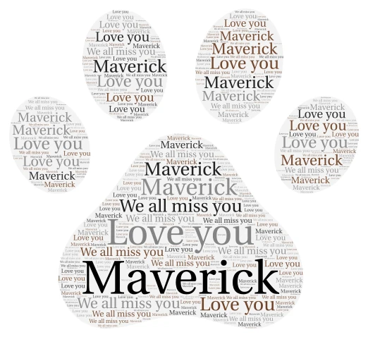 Maverick word cloud art