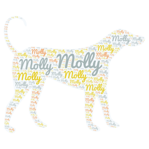 My dogs name is molly word cloud art