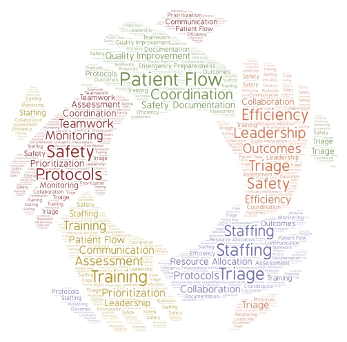 Hospital Operations word cloud art