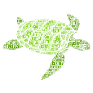 Turtles word cloud art