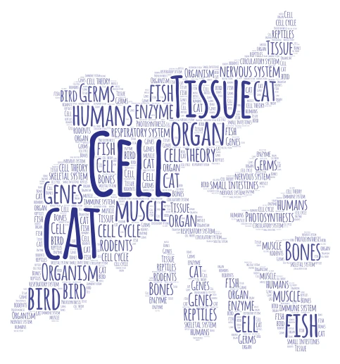 Mac Kirby word cloud art