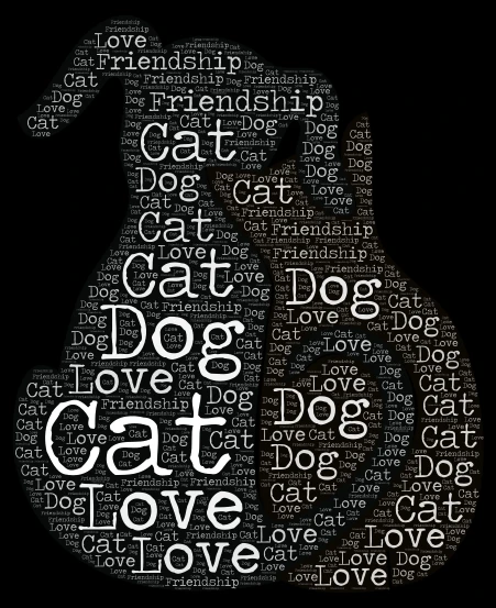 A Weird Kind Of Friendship word cloud art