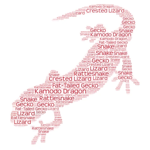 Reptiles word cloud art