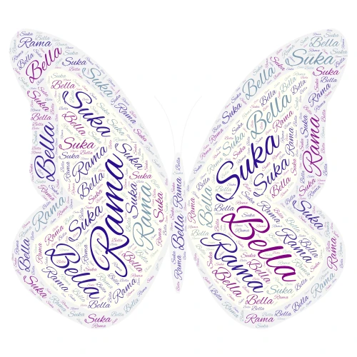 bella word cloud art