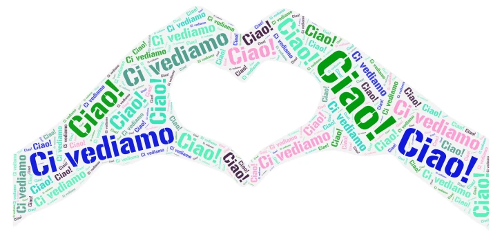 operaleonardopozzi140624finescuola word cloud art