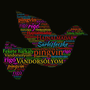 Madárnevek word cloud art