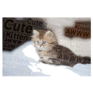 Cute Kitten word cloud art